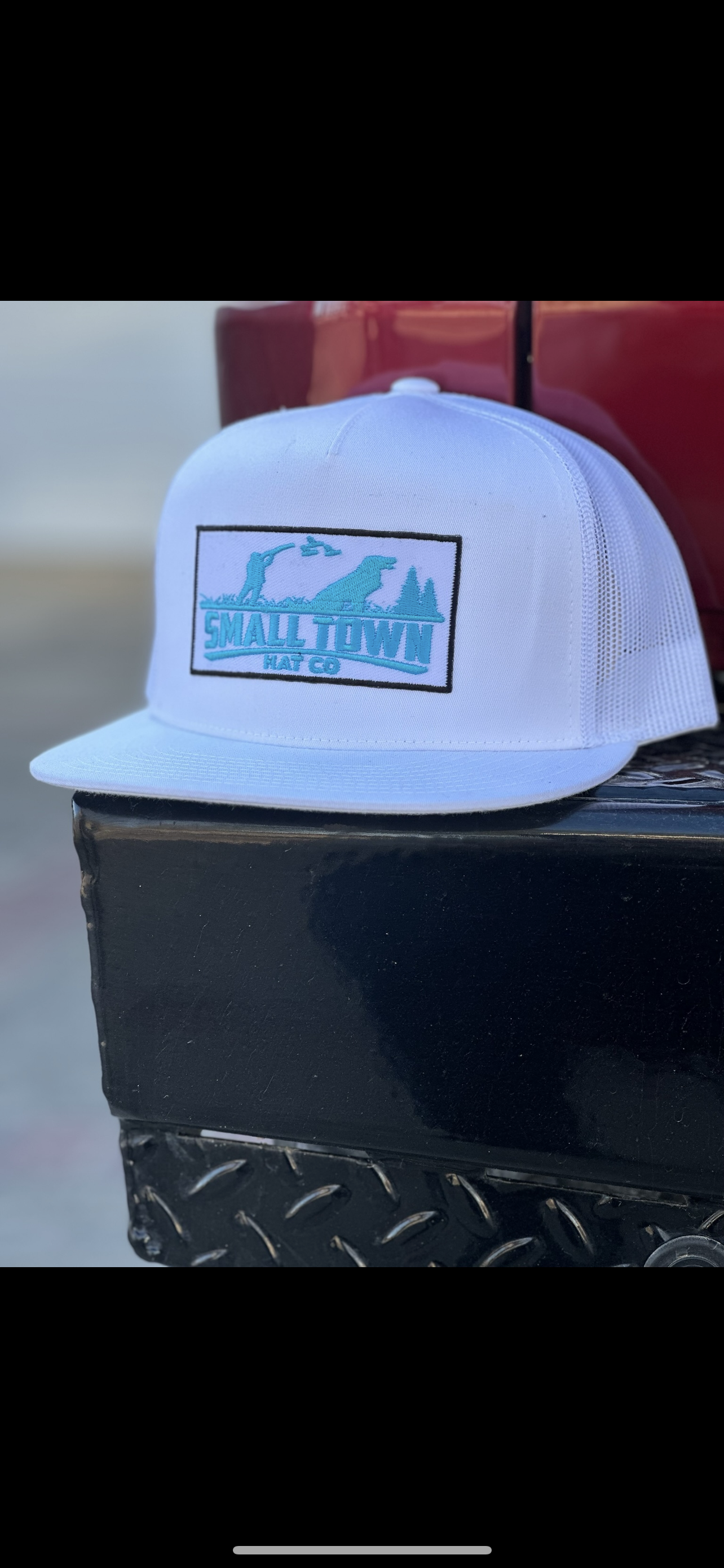 White/teal SnapBack